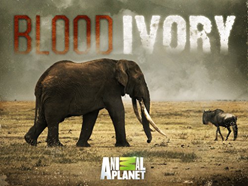 Blood Ivory